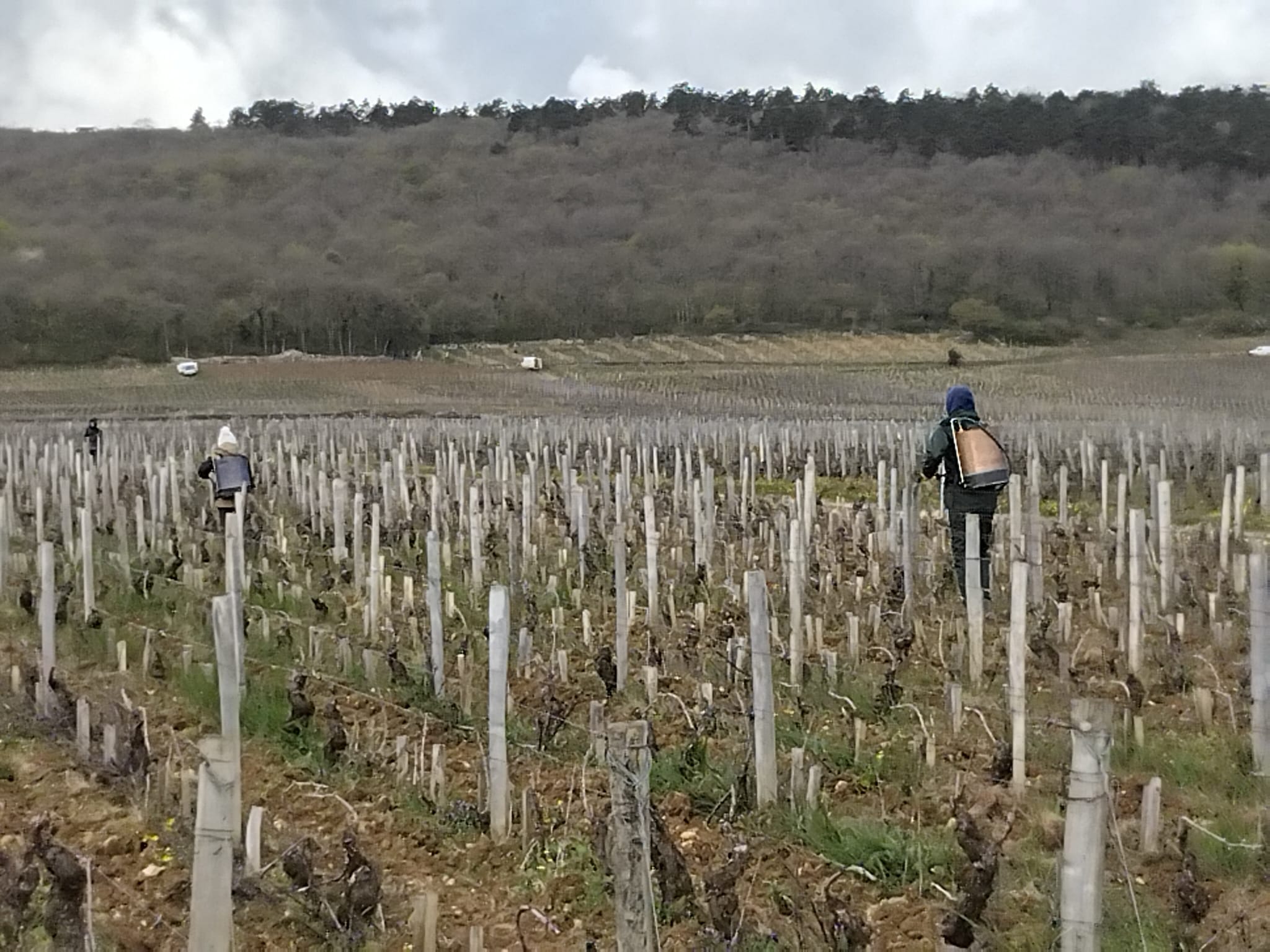 Pr&eacute;paration biodynamique 500 P